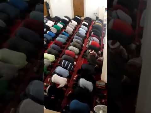 ذكريات رمضان عام 2018 في بلغاريا صلاة العشاء والتراويح بحضور مفتي بلغاريا
