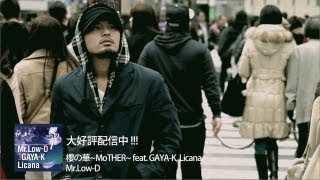 [Official] Mr. Low-D 