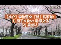 【推介】李怡：面子文化vs 恥感文化 | 異鄉人