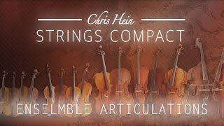 Chris Hein Strings Compact - Ensemble Articulations | Best Service