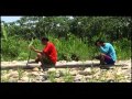 Reportaje al Perú - Manu refugio de Vida parte 3