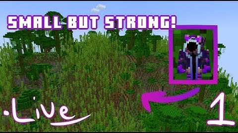 Tiny Details, BIG Power – Chisel & Bits + Origins! | LIVE