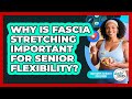 Why Is Fascia Stretching Important For Senior Flexibility? - Daily Steps to Health For Seniors