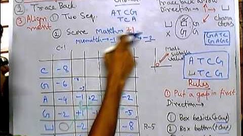 Bioinformatics part 8 How to perform Global alignment 2