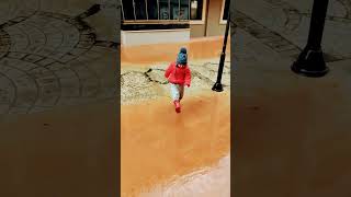 Yağmurda Islanan Yağız Ve Annesi