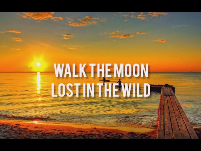 WALK THE MOON - Lost In The Wild(LYRICS) (From The Kissing Booth 2) class=