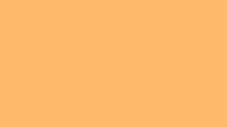 Dracula Orange - #FFB86C rgb(255, 184, 108) — Color Background Loop