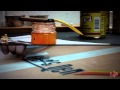 Explo Pinstriping - Surfer's Den StepRail Longboard