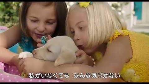 「オンネリとアンネリのおうち」劇場予告