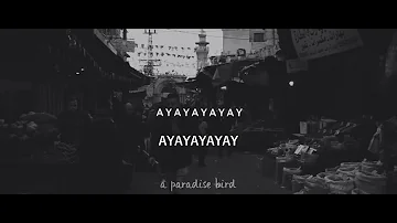 Bratia Stereo ~ Ayayay ft.Tony Tonite - (Lyrics)  Türkçe Altyazılı