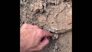 How A Surveyor Locates Your Property Lines - Oakville NSW - Survey Marks #surveying