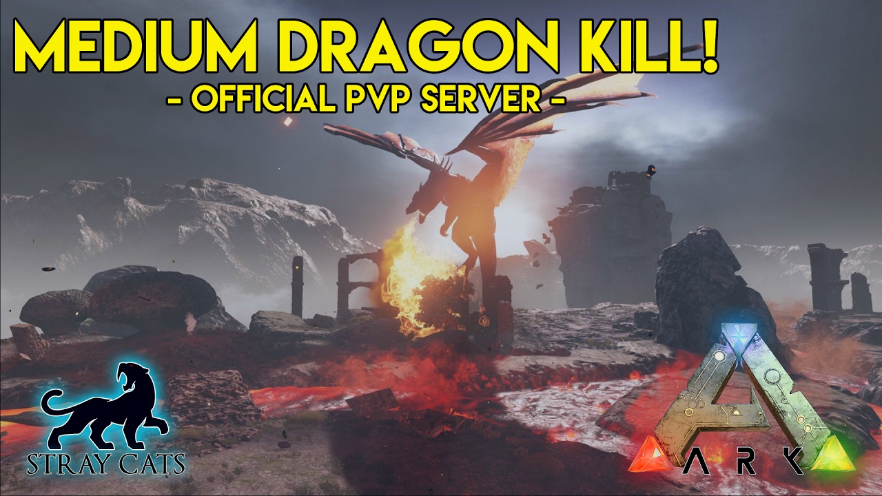 medium-dragon-kill-official-server-stray-cats-youtube