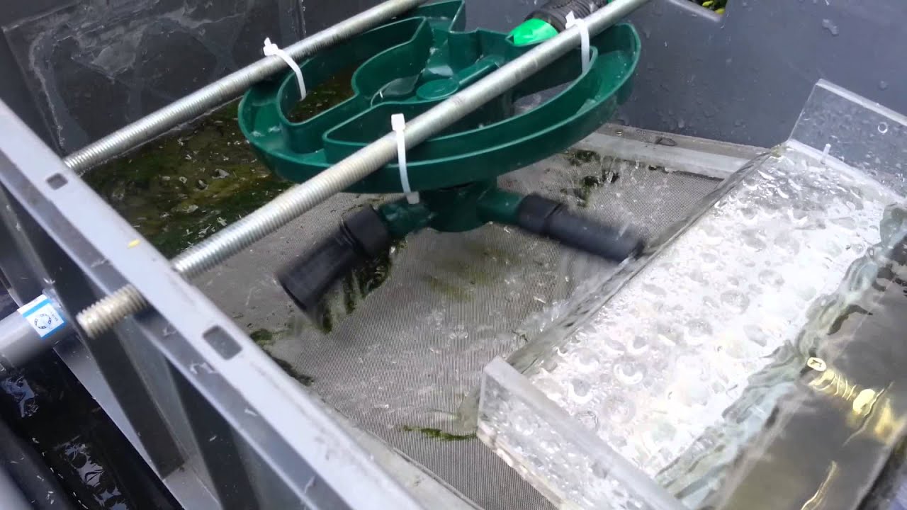 filtre bassin nettoyage automatique