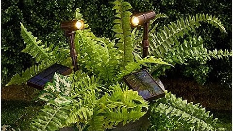 Energizer Smart Focus LED 100-Lumen Solar Spotlight 2 Pack
