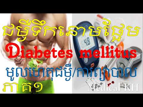 diabetes-mellitus-_ជម្ងឺទឹកនោមផ្អែម_​នាទីសុខភាពខ្ញុំ#1