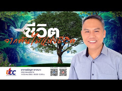 วีดีโอ: ต้นไม้แห่งชีวิตเป็นศาสนาอะไร?