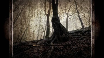 Stalker CoP Misery Mod - EP 8