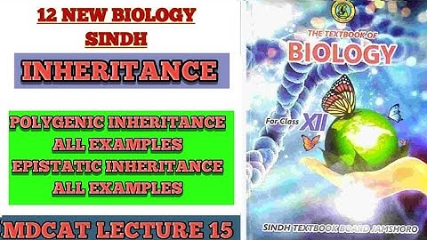 INHERITANCE MDCAT ONE SHOT PART 2 || POLYGENIC INHERITANCE || EPISTASIS MADE EASY || EASIST CONCEPT