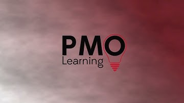 Lunch and Learn - Your First Steps as a PMO Manager