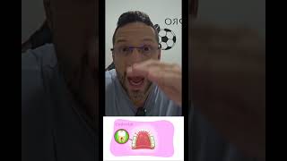 Quais São Os Dentes Molares?