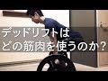 デッドリフトはどの筋肉を使うのか？広背筋は使うのか？