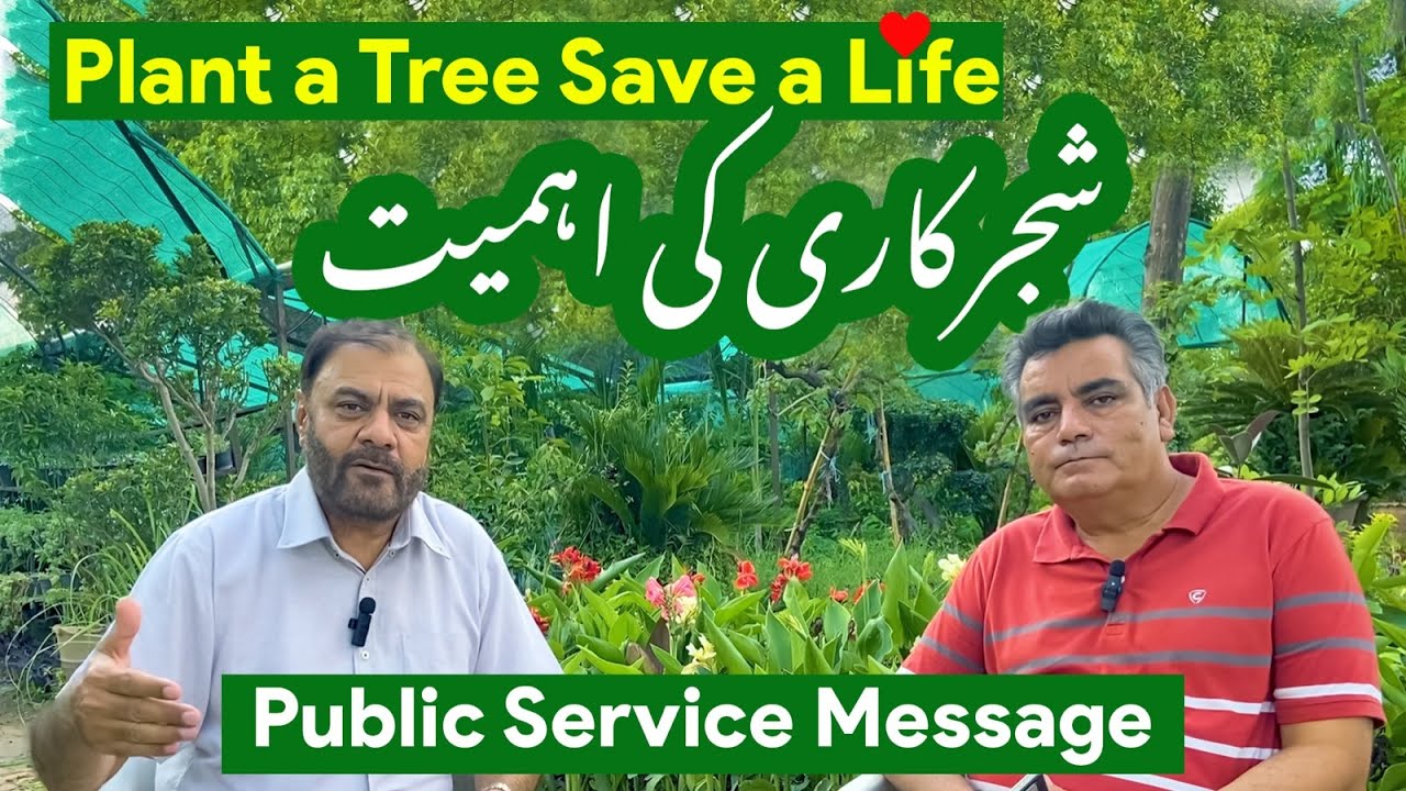 Tree Plantation , Islamabad | Pakistan | 2024 |