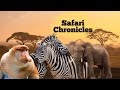 Safari Chronicles: Journeying through the Heart of the Wilderness