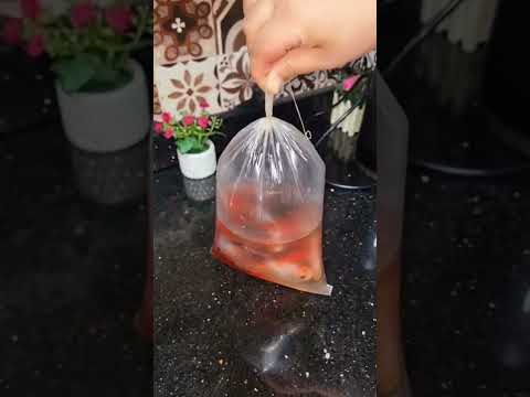 نزلت اشتري سمك جبت ٨ سمكات ٢٠ جنيه