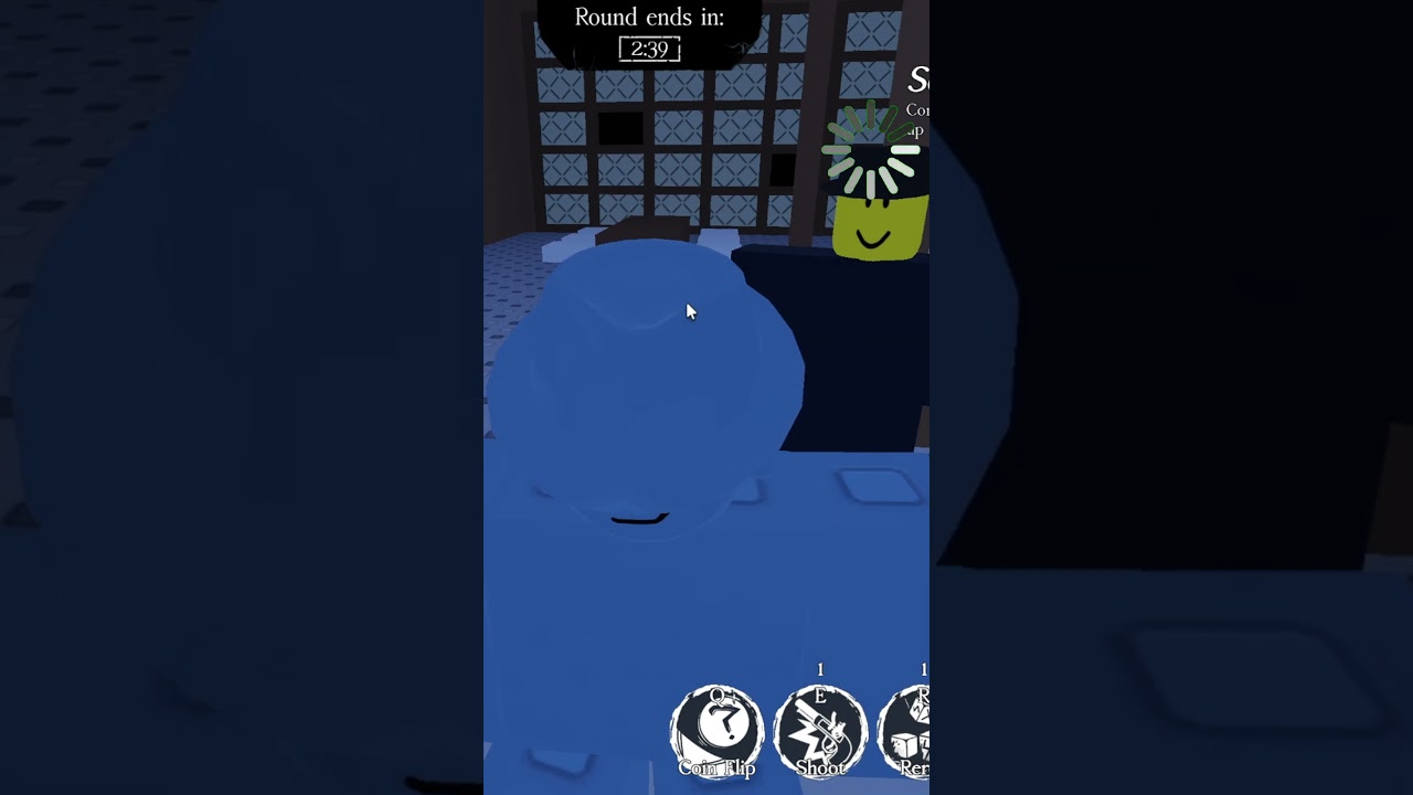 CHANCE MIRROR SKIN IS GOOD FOR HIDING 