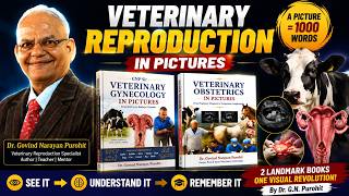 Veterinary Reproduction in Pictures | A Picture is More Than a Thousand Words | Gynec & Obst Books