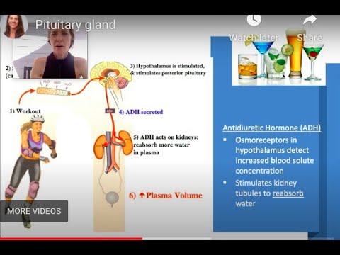 Vídeo: Cefaléia Crônica Por Cluster E Glândula Pituitária