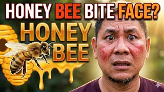 Honey Bee so big🦟🦟 full body pain😥😥😥🫶✌️💐💐
