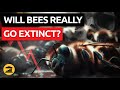 Bee extinction should be a disaster why isnt it happening