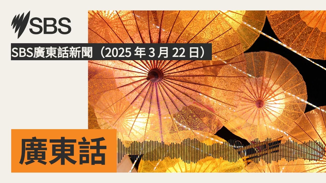 SBS廣東話新聞（2025 年 3 月 22 日） | SBS Cantonese - SBS廣東話節目