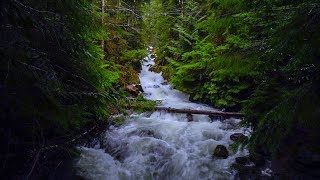 8 Hours Rushing Water Video and Sounds - ASMR, SLEEP, RELAX | Great Escapes