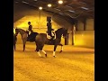 Charlotte Dujardin and Mount St John Freestyle