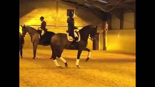 Charlotte Dujardin and Mount St John Freestyle