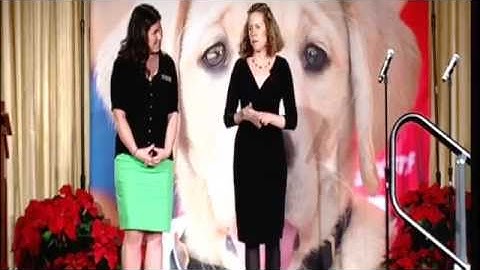 Blindness Etiquette Presentation