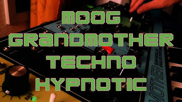 Moog Grandmother Hypnotic Techno Jam