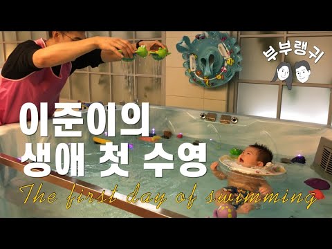 양배추이유식 추천