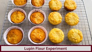 Lupin Flour Experiment