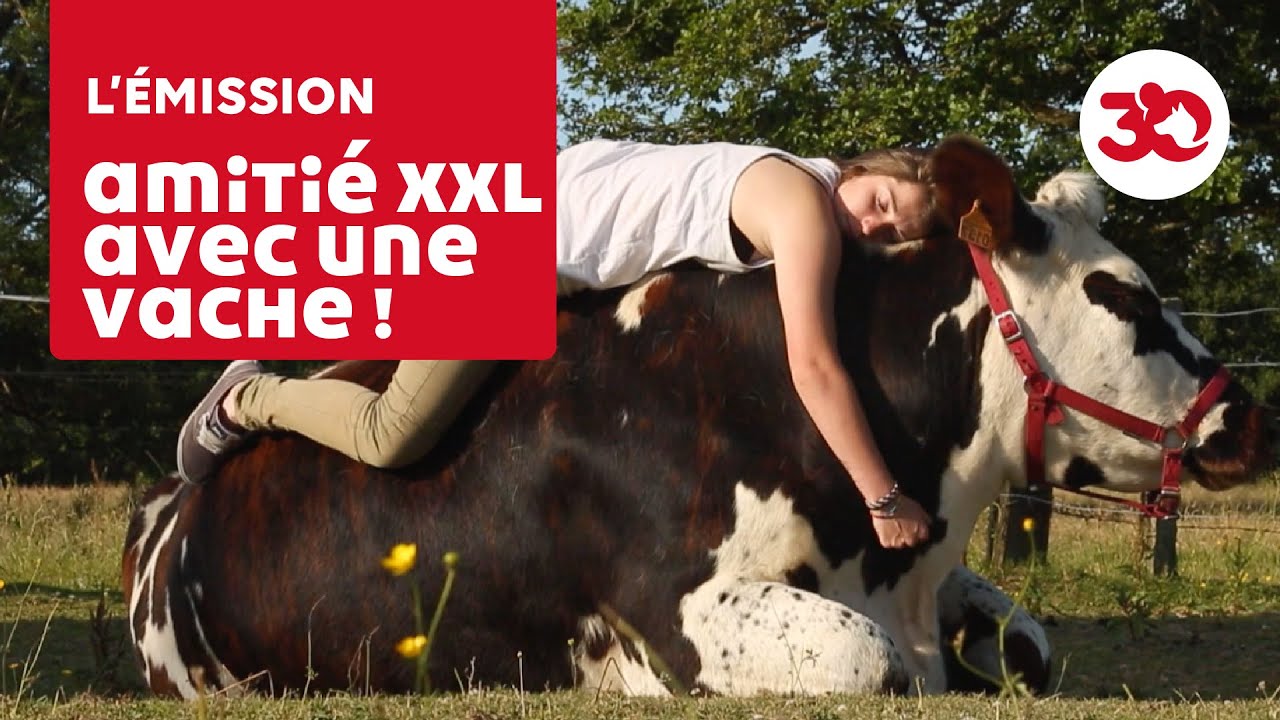 Une Amitié Incroyable Entre Une Fille Et Une Vache Youtube 