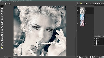 A LAYOUT TRICK Every Gimp User Should Know - Arranging Layer Previews