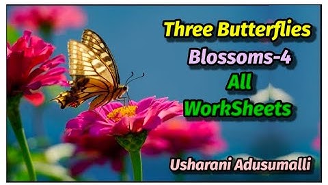 Three butterflies/ Blossoms-4/All Work sheets in one video/4th Class/English/WorkBook /ApNewSyllabus