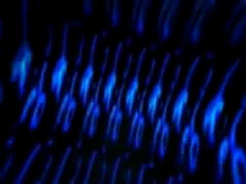 FISHBONE BEAT - Feel it (Club Version)