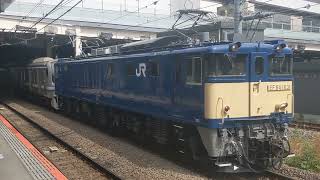 【E217系NN廃車回送】JR東日本 EF64 1031号機+E217系都クラY-39編成 配9441レ 長野行 立川駅発車！[2024.05.15(水)]