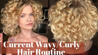Wavy/Curly Hair Routine | Sulfate/Silicone Free
