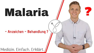 Was sind die Symptome von Malaria?