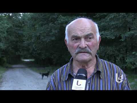 წინუბნის აბანოები