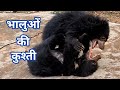 Wrestling of Bears at Mungai Mata Mandir भालुओं की कुश्ती Bhalu Darshan